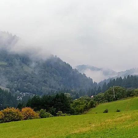 桃 Momo * Szczawnica